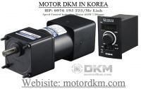 Speed Control Induction Motor (60W □90mm)