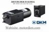 Speed Control Clutch & Brake DKM Motor (25W □80mm) - anh 1