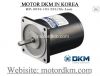 2 Pole Motor DKM (40W □90mm) - anh 1