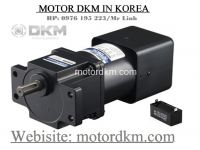 Torque Motor DKM (40W □90mm)