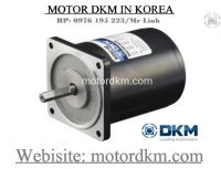 2 Pole Motor DKM (15W □80mm)