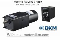 Speed Control Clutch & Brake DKM Motor (25W □80mm)