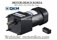 Induction Motor DKM (90W □90mm)