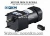 Induction Motor DKM (200W □90mm) - anh 1