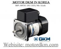 2 Pole Motor DKM (150W □90mm)